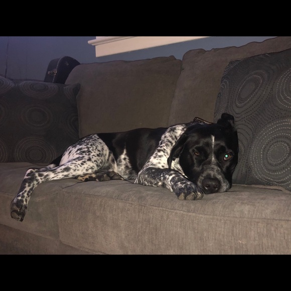 Meet your Posher, Jessica - Picture 1 of 1